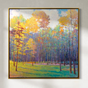 Forest Light into Shade