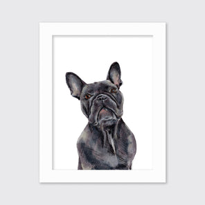 The Frenchie - Open Edition Paper Print