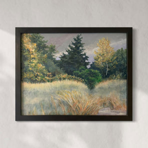 Pathway In A Field *