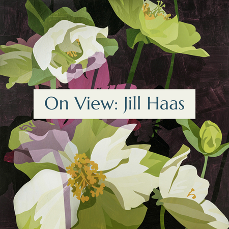 On View: Jill Haas